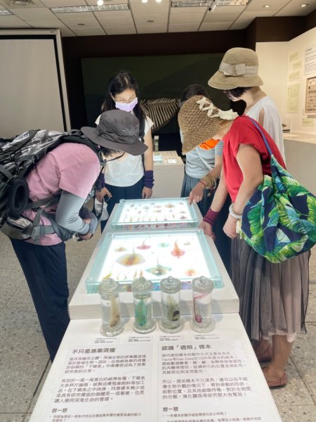 雨天備案💙 台灣博物館的古生代館-台大動植物館免費參觀-北投♨️季2807521