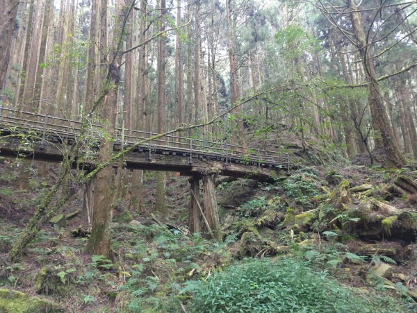 2026.02.14－特富野古道3013712