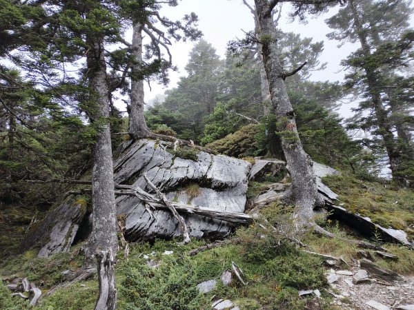 北一段(06/14)巴巴山 2025_0906~132886711