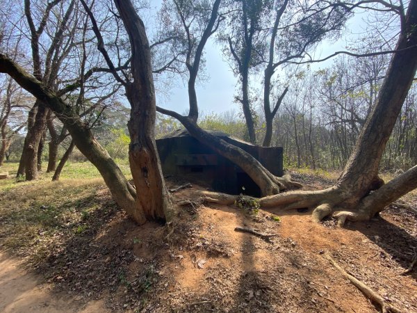 苗栗頭份-老崎古道2628336