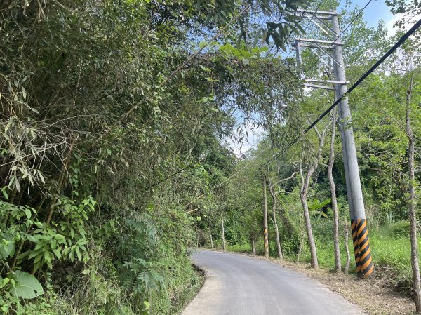 [皮皮獅Hike客任務-10/10] 2024_0831 十二寮古道2586591