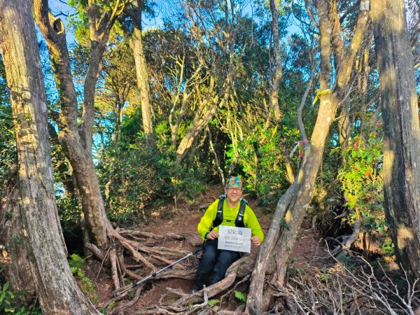 1121125 鳥嘴山縱走貴妃山2363989