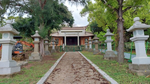 療癒森呼吸，阿里山三日行2764292