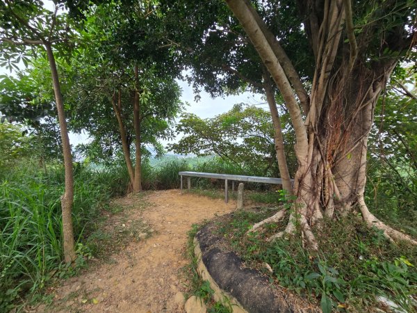 大社觀音山十三連峰環形2924414