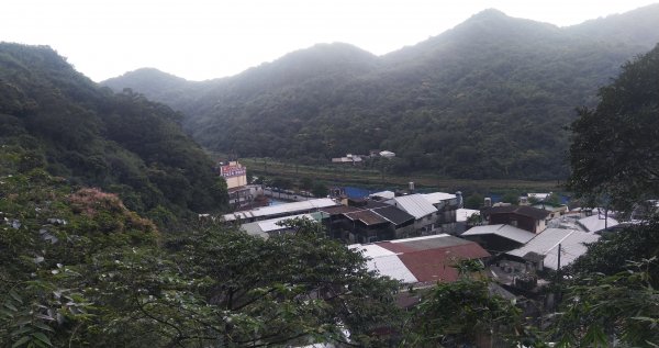 20210508_紅淡山步道1379627