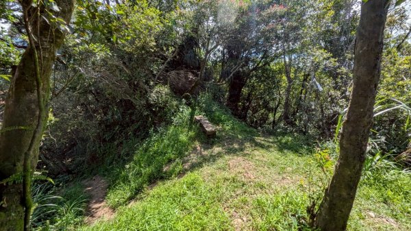 114.06.28內平林山-番子坑山-平湖森林遊樂區之O型2824239