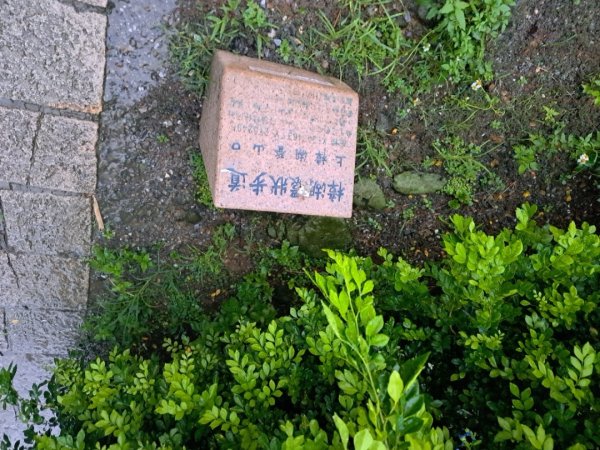 2026微笑山線，克寧生醫UC-II健行月：樟樹步道3115290