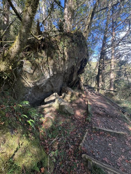 20251225塔山步道(大塔山)2970357