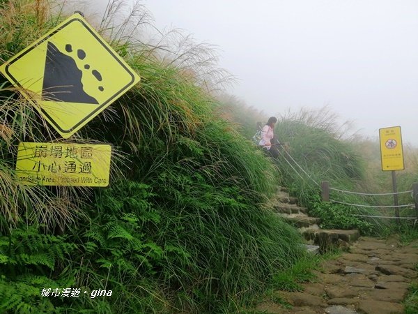 台北市第一高峰。 編號02小百岳七星山1235301