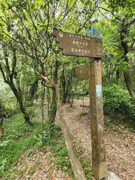 金面山-風櫃嘴折返跑2777500