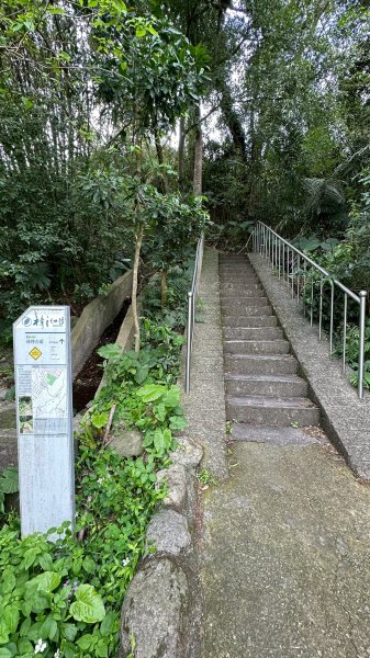 樟之細路三坑到關西3015330