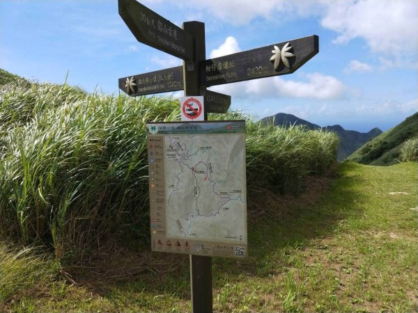 【新聞】無菸山林-新北市風景區登山步道及淡蘭古道全面禁菸