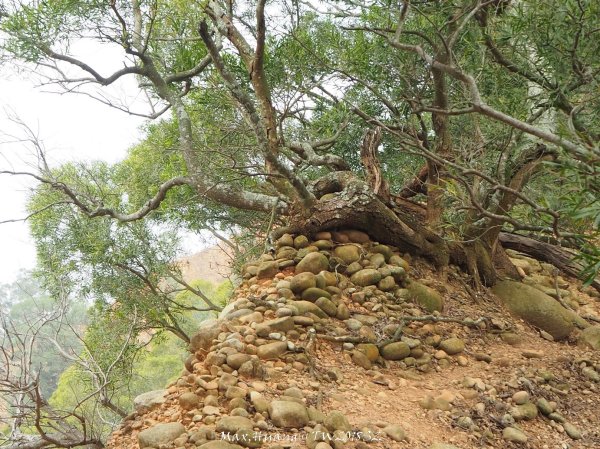 《苗栗》心靈之旅｜火炎山步道O繞南鞍古道201804212890655