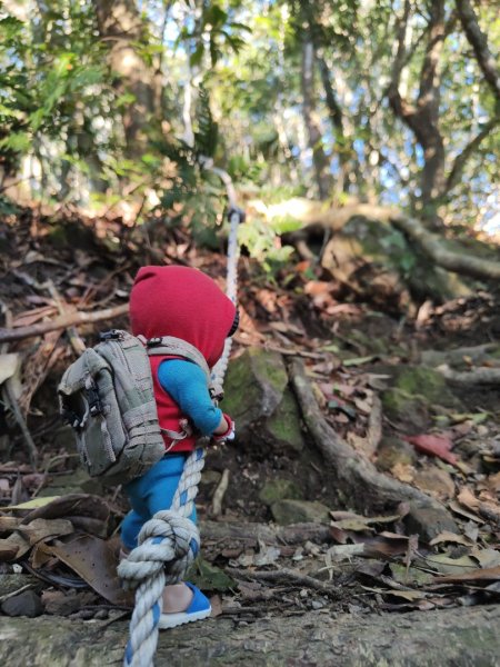 2024.02.01 凌空廊道登煤源山2843951