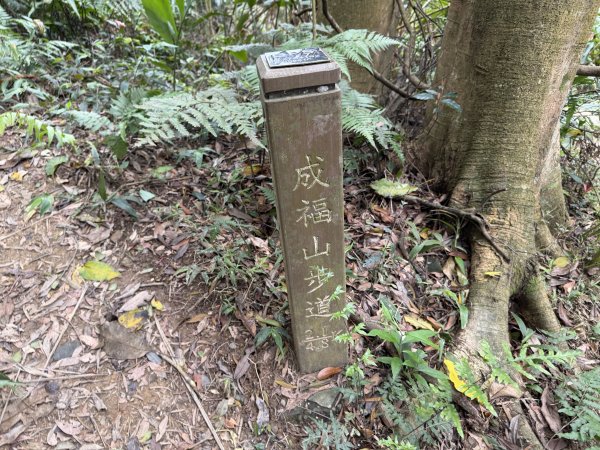 [微笑山線_第四段] 2026_0321 天上山系_十八羅漢岩3022121