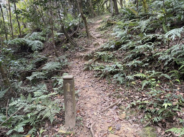 [微笑山線_第四段] 2026_0321 天上山系_十八羅漢岩3022113