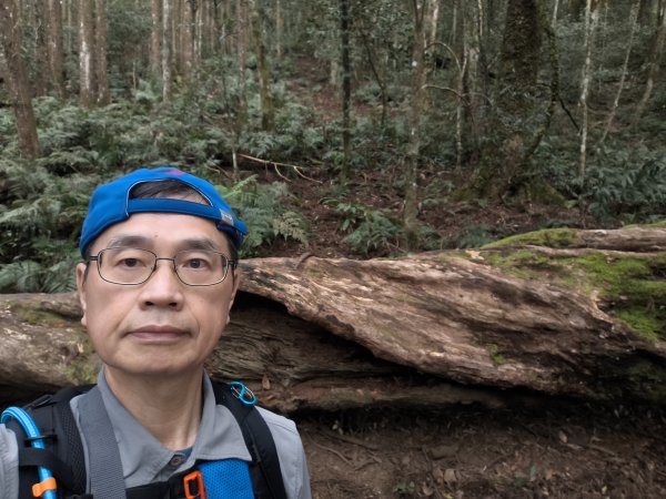 高島縱走、馬胎南坪古道2724268