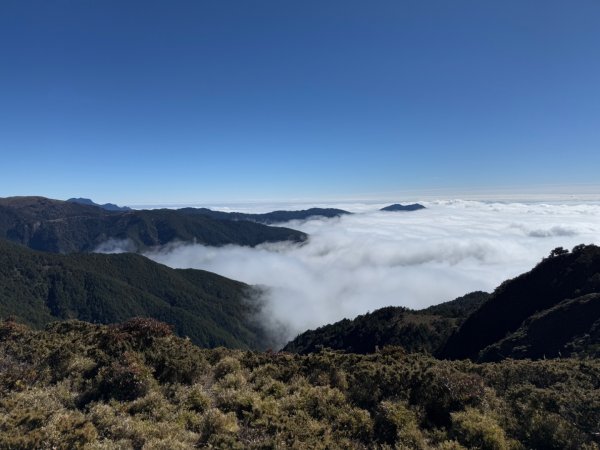 20250104-05 向陽縱走魔保來溪頭山出關山嶺山2683511