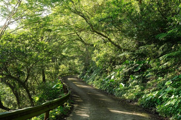 新北 烏來 大礁溪山2821585