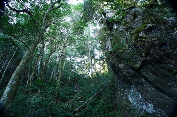 新竹 尖石 內鳥嘴山2899164