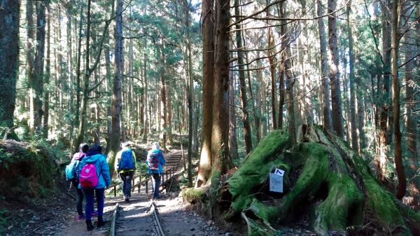 特富野悠閒散步之旅222497