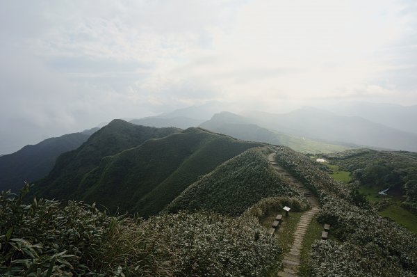 灣坑頭山 桃源谷步道 連走2034855