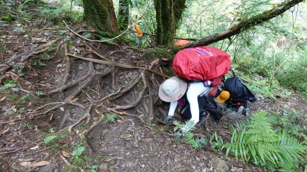 雙龍林道上巒安堂西巒大山1778653