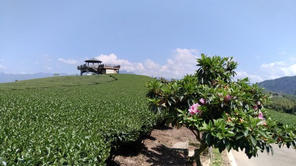 海鼠山1314觀景台+瑞峰愛情塔309193