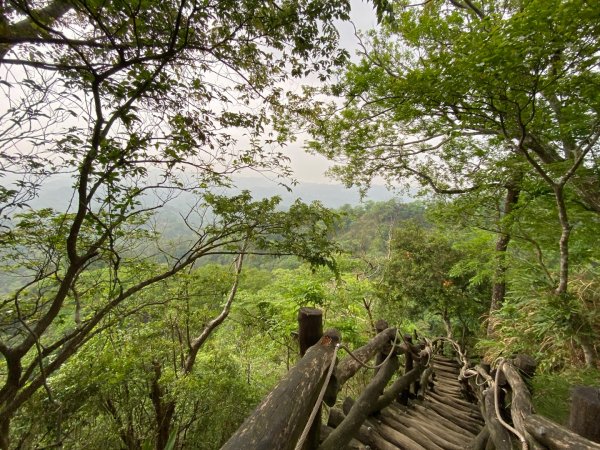 大坑2號原路來回2130469