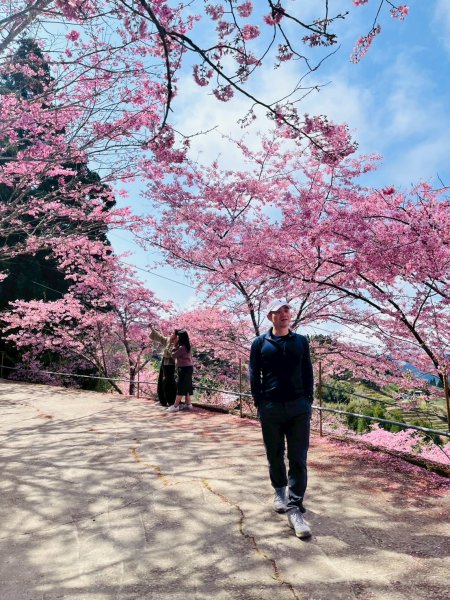 桃園 復興 巴陵 恩愛農場3011871