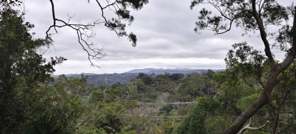 2026/02/01 十二寮古道2992742