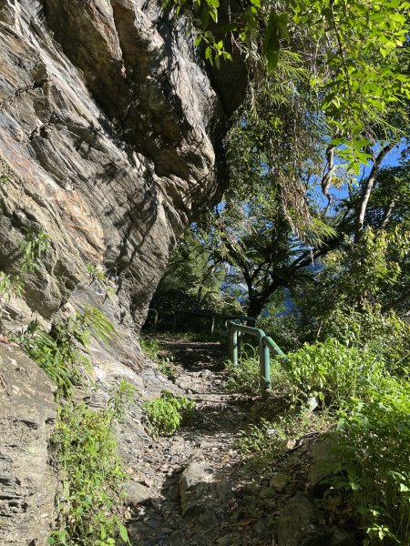 [玉山尋寶任務-03/12] 2025_0810 瓦拉米步道2857502