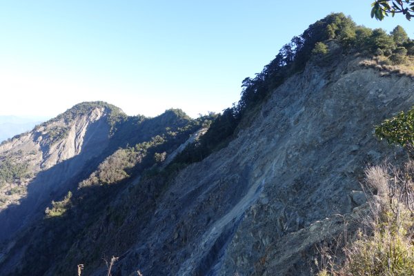 小關山林道上斯拉巴庫山1285104