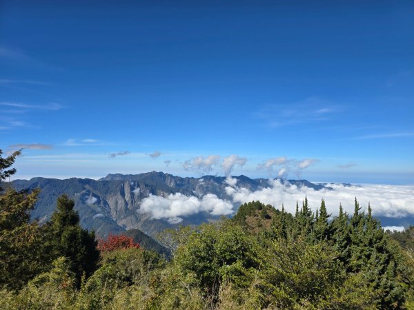 東埔山／鹿林山／鹿林神木2666717