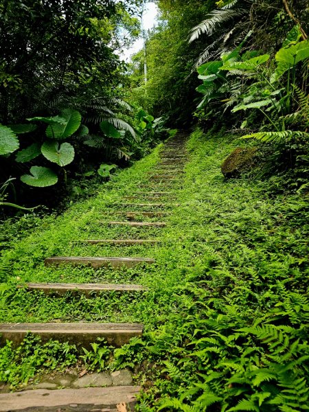 (二格山系)銀河洞越嶺-2025微笑山線大縱走尋寶集章任務2855235