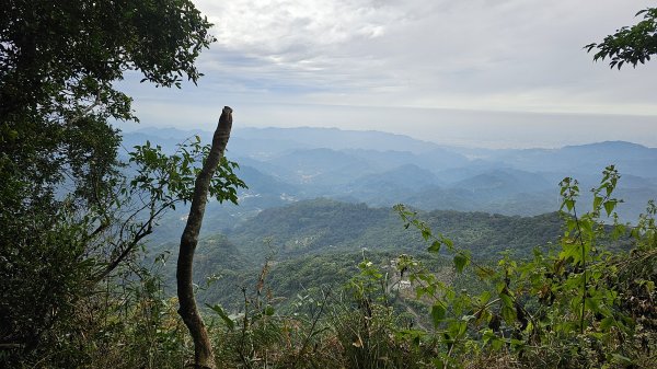 暗影山三進三出2366585