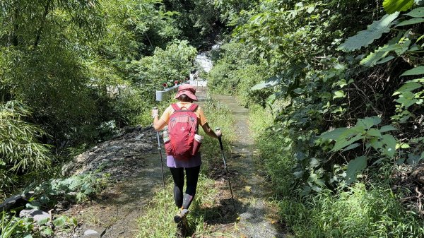 加奈美山 (開車富南上至2K水泥路尾起登)202609063118767