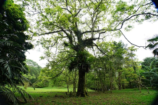 新北 烏來 志良久山3035168