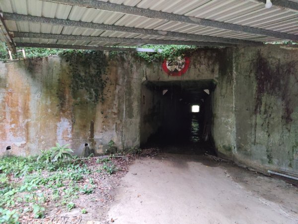 2024.04.14 倒別牛登中坑山飛鳳山O型2922810