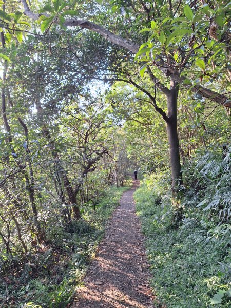 冬山梅花湖中山步道+大陂丘山202509292901664