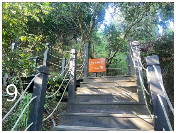 軍功寮山、大坑9、7、6、9-1步道 O型一圈2950783