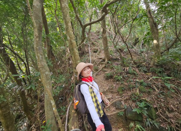 20260112月扇湖山&四分子古道O走+烏塗溪步道2986513