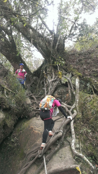 20160404苗栗加里山(二坪山入口)34217