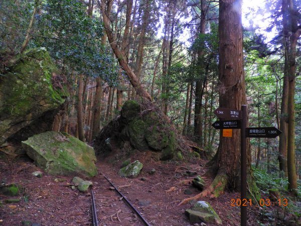 苗栗 南庄 加里山、哈堪尼山1304147