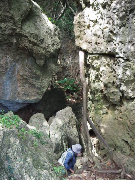 屏東墾丁社頂自然公園20181011430180