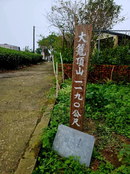 孝子路步道、大巃頂 - 2024嘉遊好步道．來嘉走走2644137