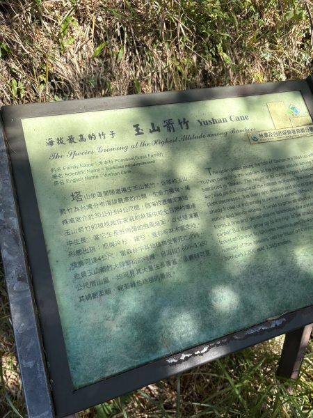 20251225塔山步道(大塔山)2970402