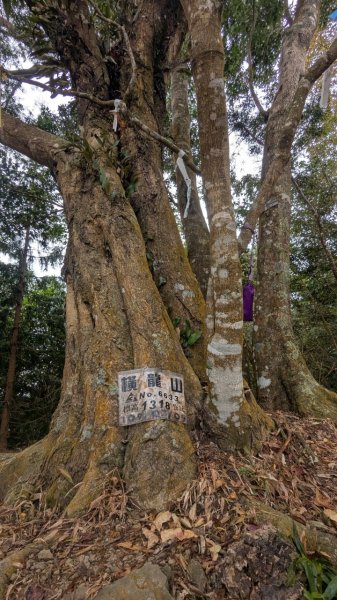 橫龍山、橫龍古道2682918