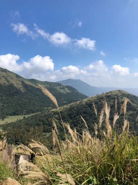 大屯山西峰542117