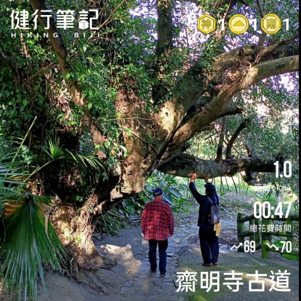 桃園大溪石門水庫楓林步道、齋明寺古道【南山神壽任務】1963982